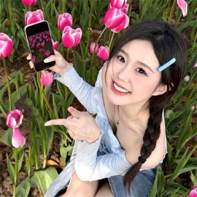 虎啸苍穹